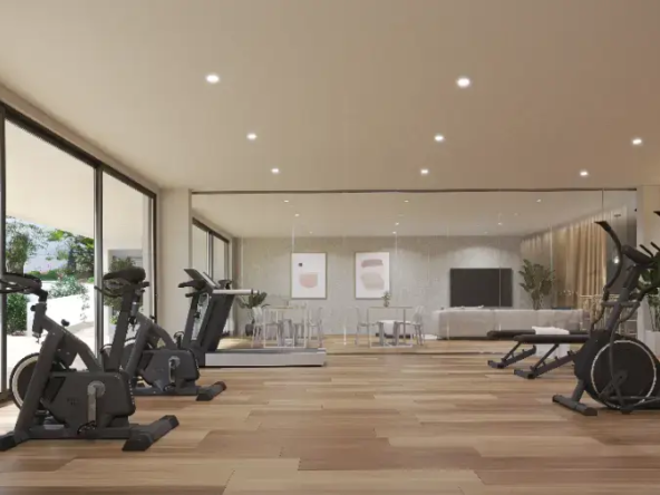 Zenity Blau Blau_Gym