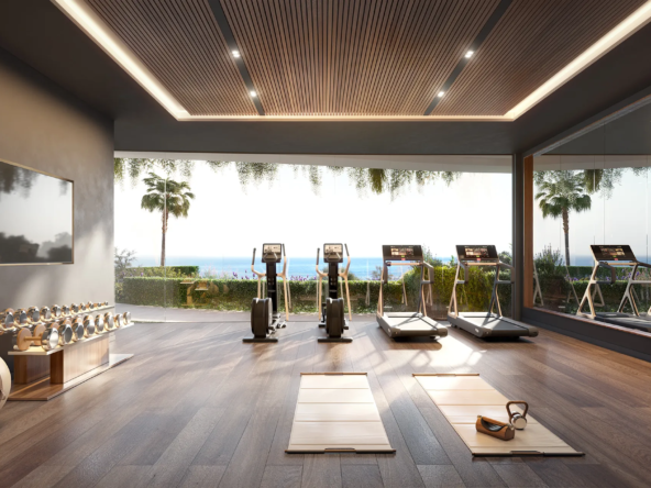 Cascada Homes - Costa del Sol - Casatalaya - Benalmadena - Gym